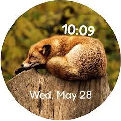 Rest Amidst Nature Watch Face