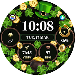 TVV Saint Patrick's Day 4