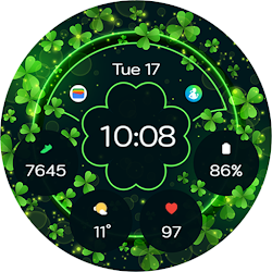 TVV Saint Patrick's Day 5