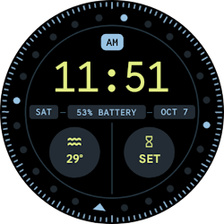 Pixel Watch 2 Face VI
