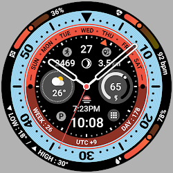 BRN204 : Watch Face
