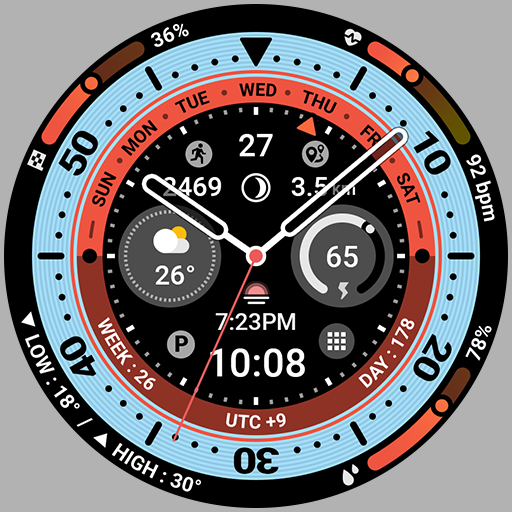 BRN204 : Watch Face