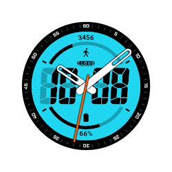Digit 4 watch face