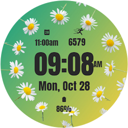 Minimalist Blossom Daisy Watch
