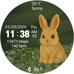 MKW Rabbit – Cute Watch Face