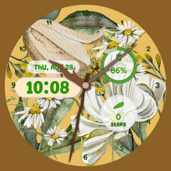 Petal Hour Watch Face
