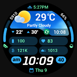 PRADO 95 Weather Watch Face