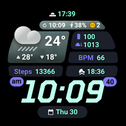 PRADO 99 Weather Watch Face