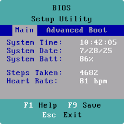 BIOS Watch Face