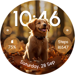ReS52 - Cute Autumn Animals