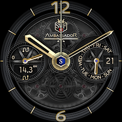 SWF Ambassador Chrono Watch