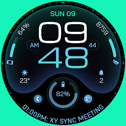 TKS 31 Vision Watch Face