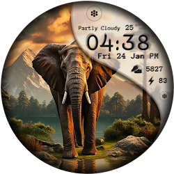 Cool Wild Animals Watch Face
