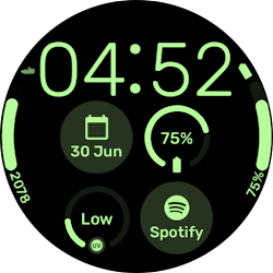 InfoGrid - Wear OS Watchface