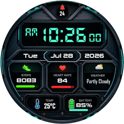 Digi M01 Watch Face