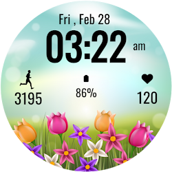Flower Steps Watch Face