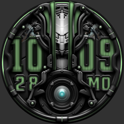 BlackRaven Watchface