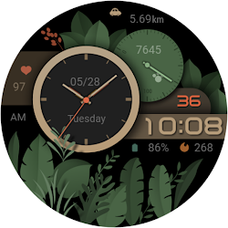 ZKin Watch Face Summer Night