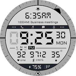 A485 Digital Watch Face