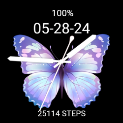 Cute Purple/Blue Butterfly