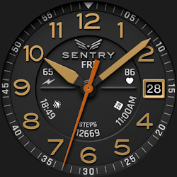 BLZ SENTRY - Field Watch Face