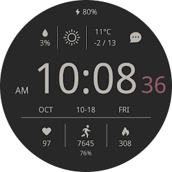 CELEST5568 Data Hub Watch