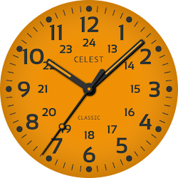 CELEST1920 Military Watch