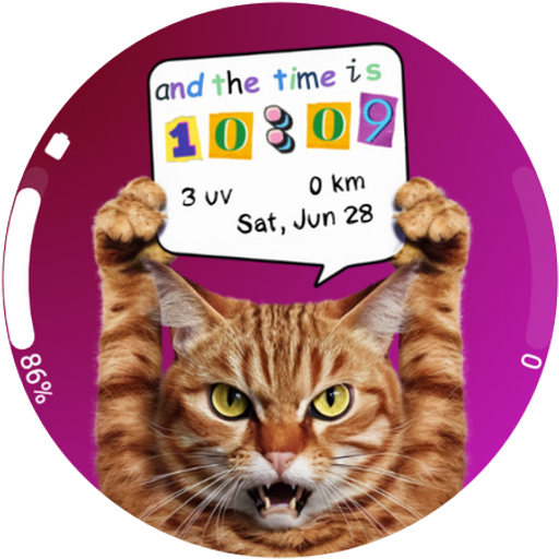 Time is Cat Watch Face Wear Os