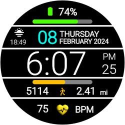 Iris509 Digital Watch Face