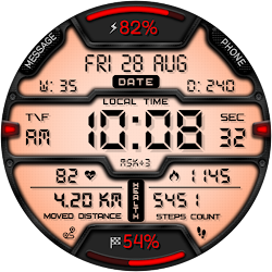 DIGI LOZOTAN WS10 Watch face