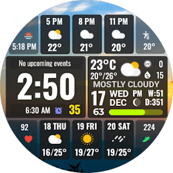 Full Weather Forecast NTV601