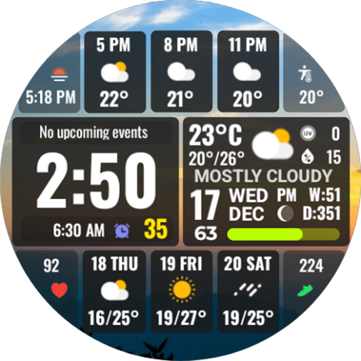 Full Weather Forecast NTV601