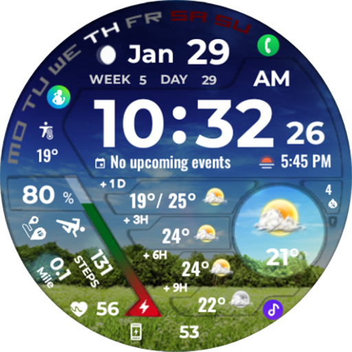Modern Digital Weather NTV602