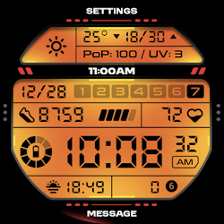OMG 429 - Digital Retro LCD