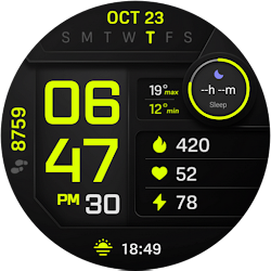 PIXEL INSTINCT 3 Watch Face
