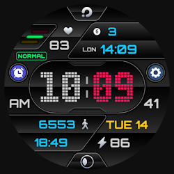 PRADO 19 Digital Watch Face
