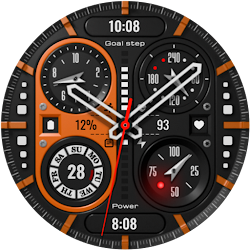 PT22 Analog Watch Face
