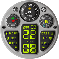 PT42 Digital Watch Face