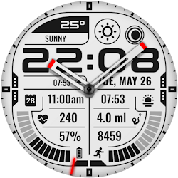 PT48 Hybrid Watch Face