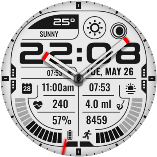 PT48 Hybrid Watch Face