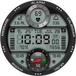 PT54 Digital Watch Face