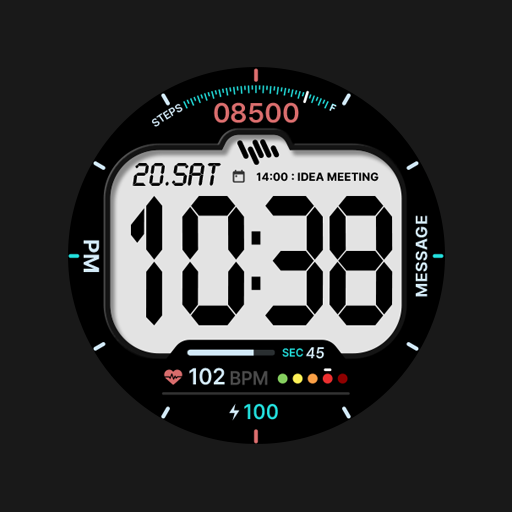 SamWatch Digital XII
