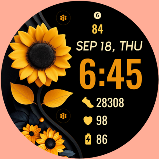 Sunflower Bloom