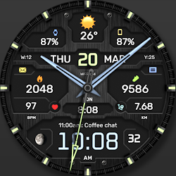 WFP 134 Hybrid watch face