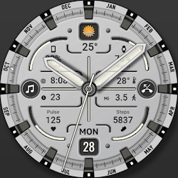 WFP 343 Fresh watch face