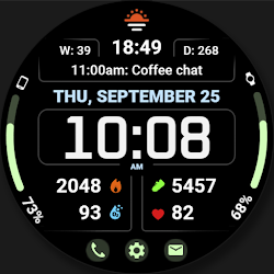 WFP 345 Informer watch face