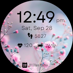 Aesthetic Wildflower WF