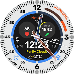 Walker Hybrid Watch Face