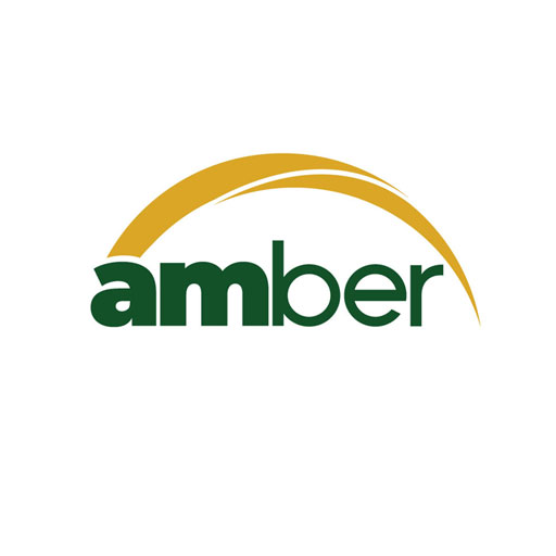 Amber Design Studio